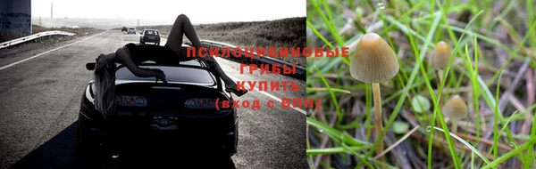 тгк Гусь-Хрустальный