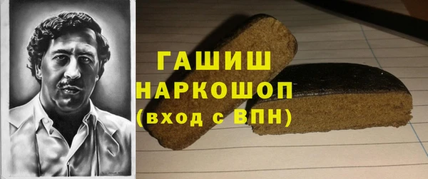 таблы Гусев