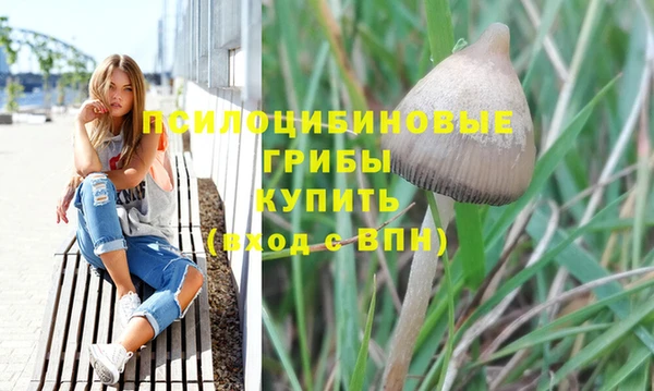 крисы Гусиноозёрск