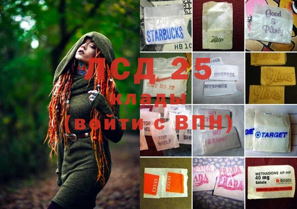 ПСИЛОЦИБИНОВЫЕ ГРИБЫ Навашино