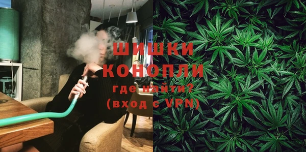 тгк Гусь-Хрустальный