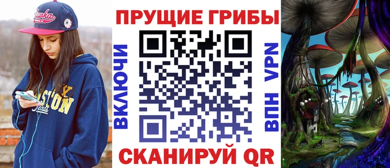 hydra ССЫЛКА  Жуковка  Галлюциногенные грибы Psilocybine cubensis 